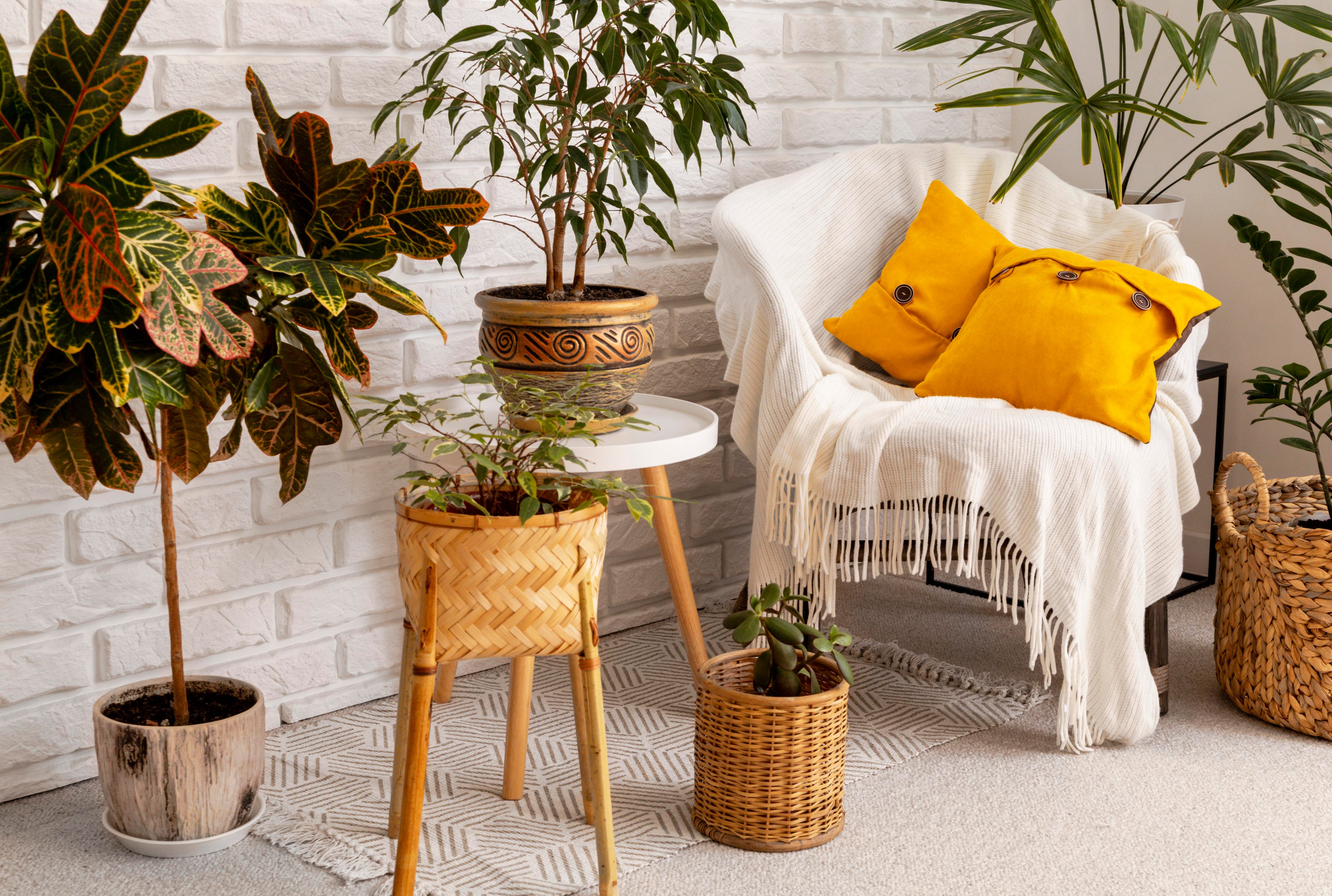 Home Decor & Accessories