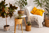 Home Decor & Accessories